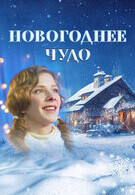 Новогоднее чудо 6+ 2D