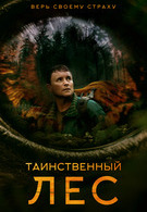 Таинственный лес 18+ 2D